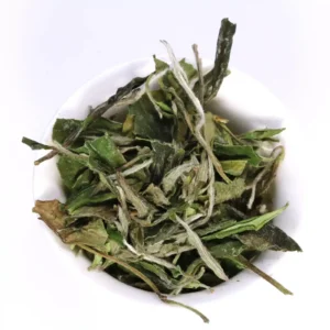 2024 Gaocong Fuding Hulin Bai Mu-dan White high bush peony from Hulin Village, Fuding