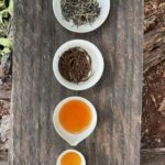 14.6.2025 Tea Tasting Event: Discover Oberá, Misiones – Argentina’s Artisan Tea
