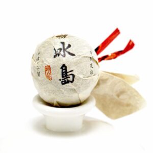 Nanmei gushu danzhu 2021 - single old tree