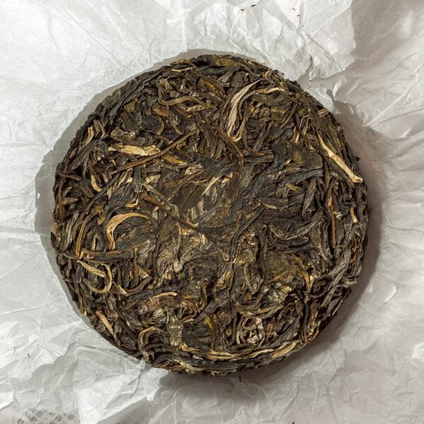 Bulang Paliang gushu bingcha - Image 3