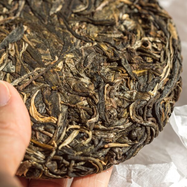 Bulang Paliang gushu bingcha - Image 4
