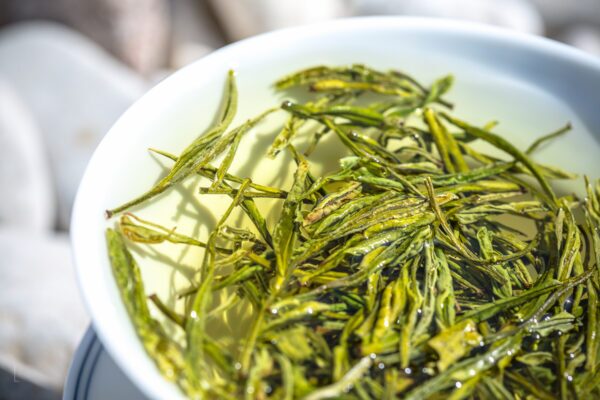 The white tea from Anji / Anji baicha - Image 3