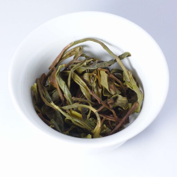 Changning Yesheng sheng maocha - old trees from Taliensis variety - Image 2