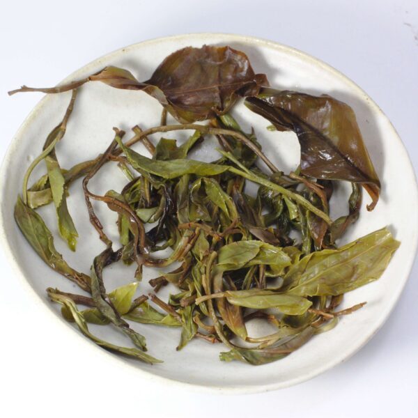Changning Yesheng sheng maocha - old trees from Taliensis variety - Image 3